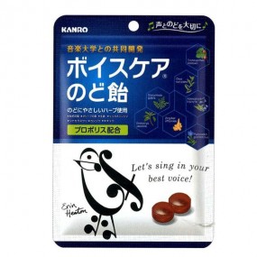 칸로 보이스케아 목캔디 90g