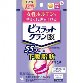비스랏토 그란 EX 84정