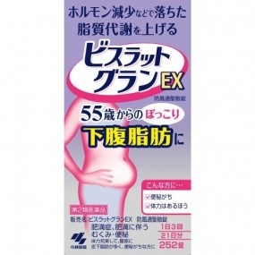 코바야시제약 비스랏토그란EX 252정
