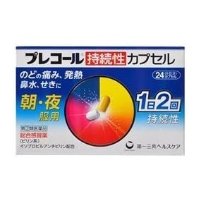 프레콜 지속성 캡슐 24개입