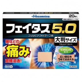 샤론 훼이타스 5.0 대형 20매