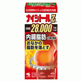 나이시토루Z 420정