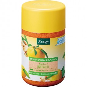 Kneipp 바스솔트 유즈＆진저 향 입욕제 850g