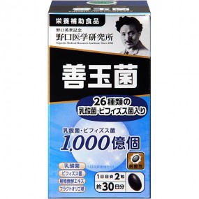 노구치의학연구소 젠다마킨 60정